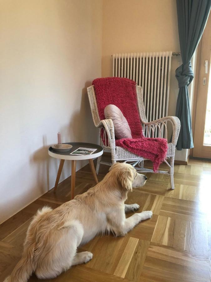 Millies Hosting - Familienurlaub Mit Hund In Kaernten Apartment Sankt Paul im Lavanttal Exterior photo