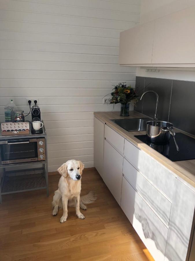 Millies Hosting - Familienurlaub Mit Hund In Kaernten Apartment Sankt Paul im Lavanttal Exterior photo