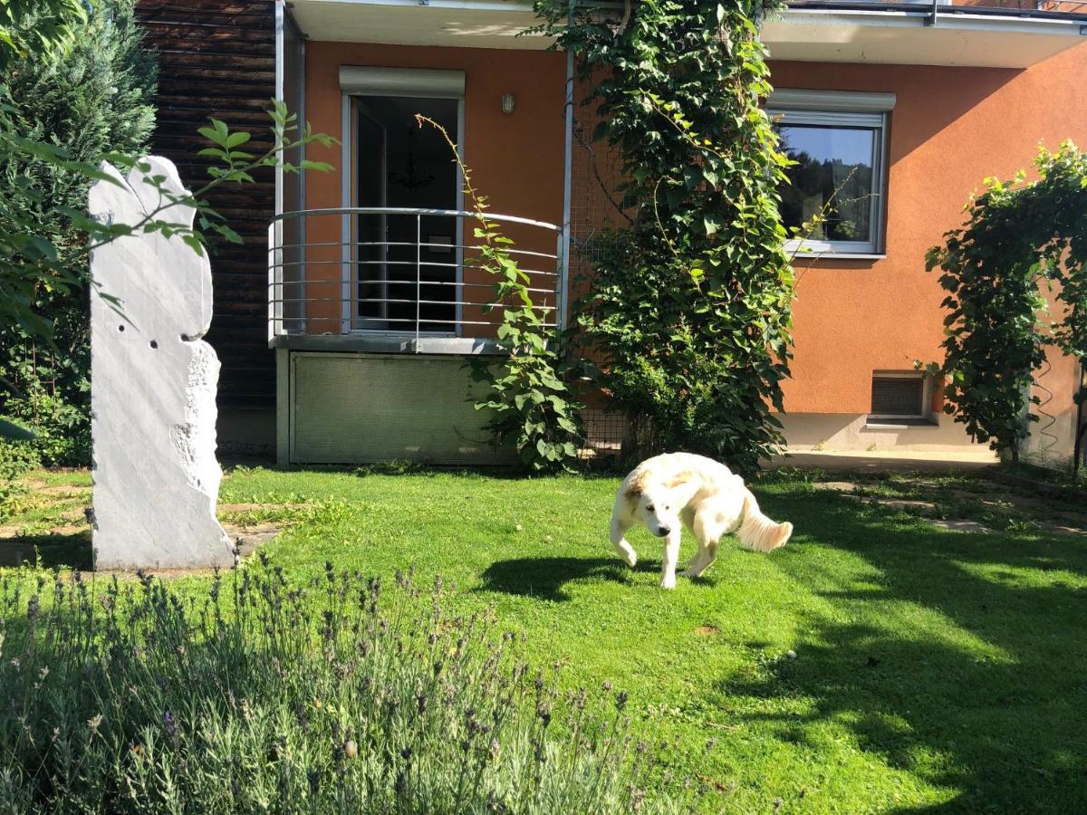 Millies Hosting - Familienurlaub Mit Hund In Kaernten Sankt Paul im Lavanttal Exterior photo