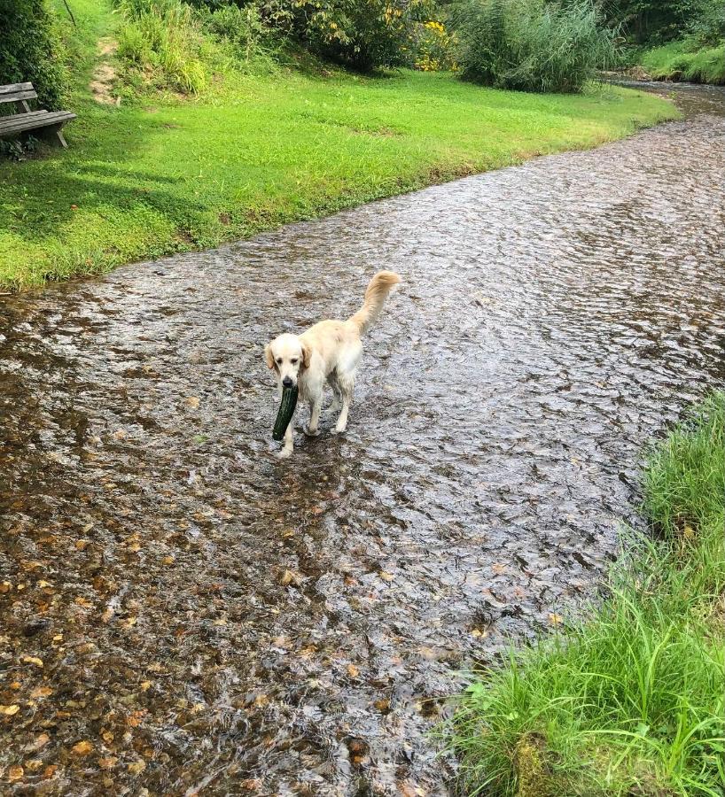 Millies Hosting - Familienurlaub Mit Hund In Kaernten Sankt Paul im Lavanttal Exterior photo